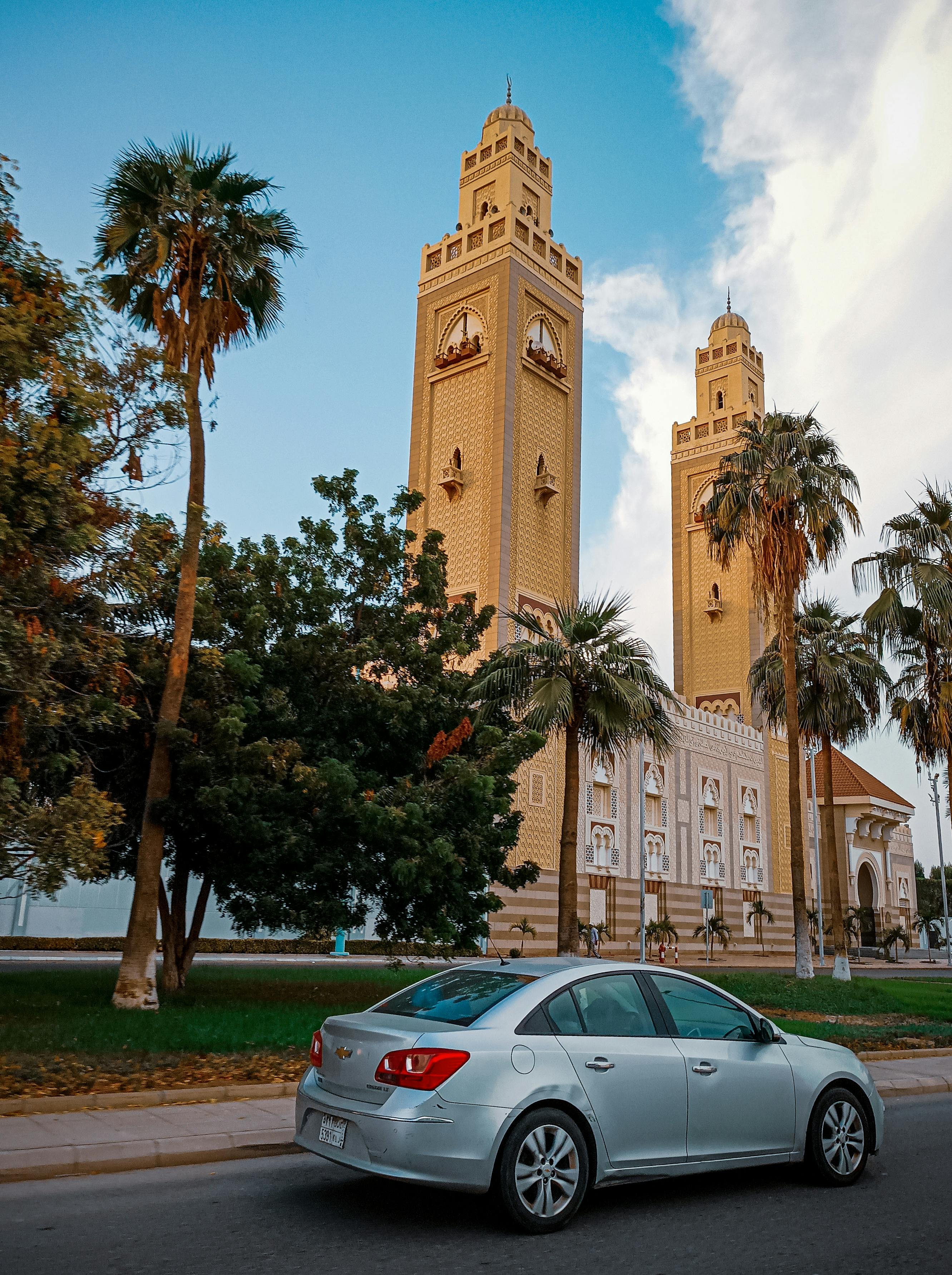 Palms framed by heritage buildings