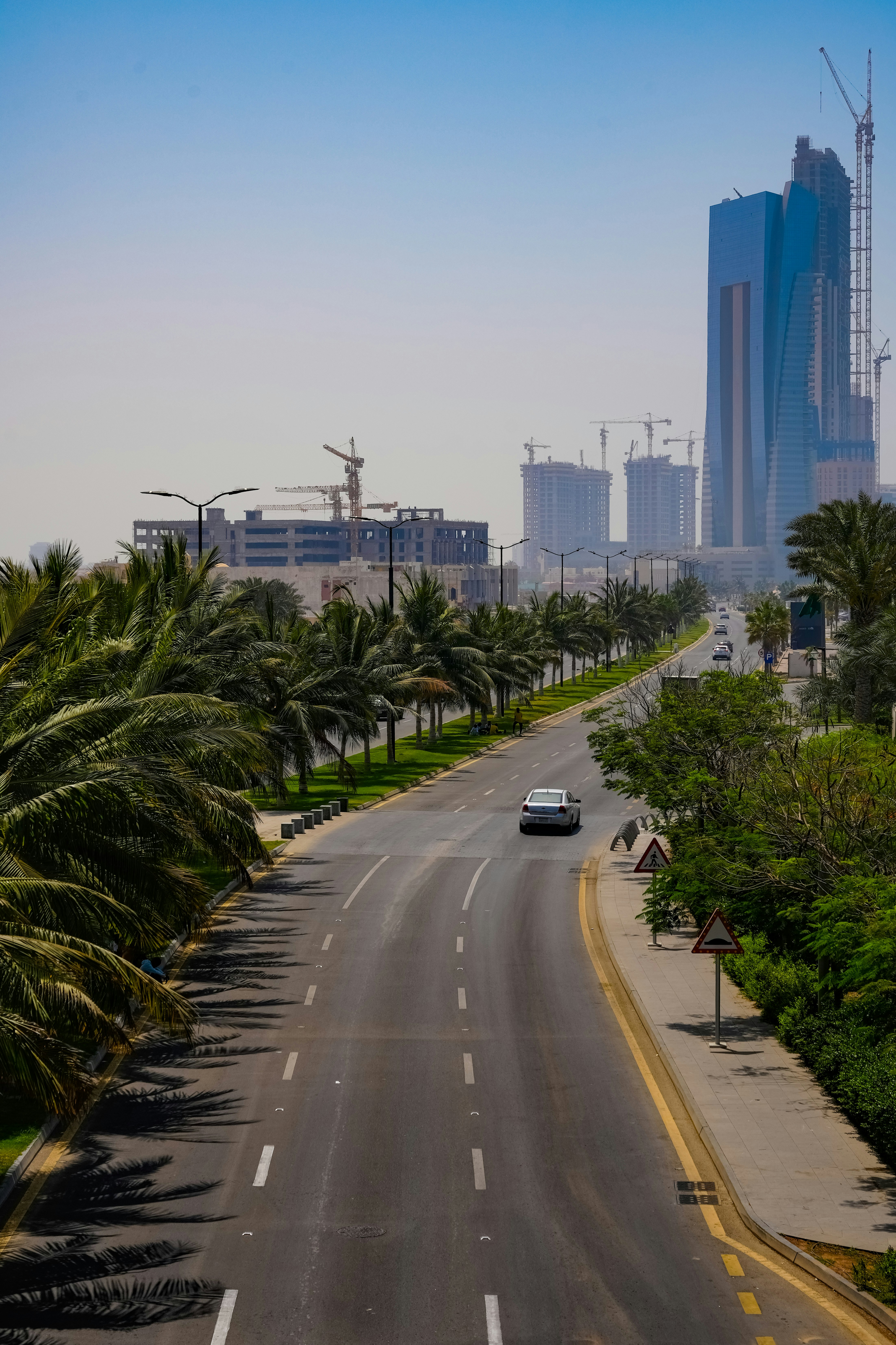 Jeddah boulevard with palms and modern towers